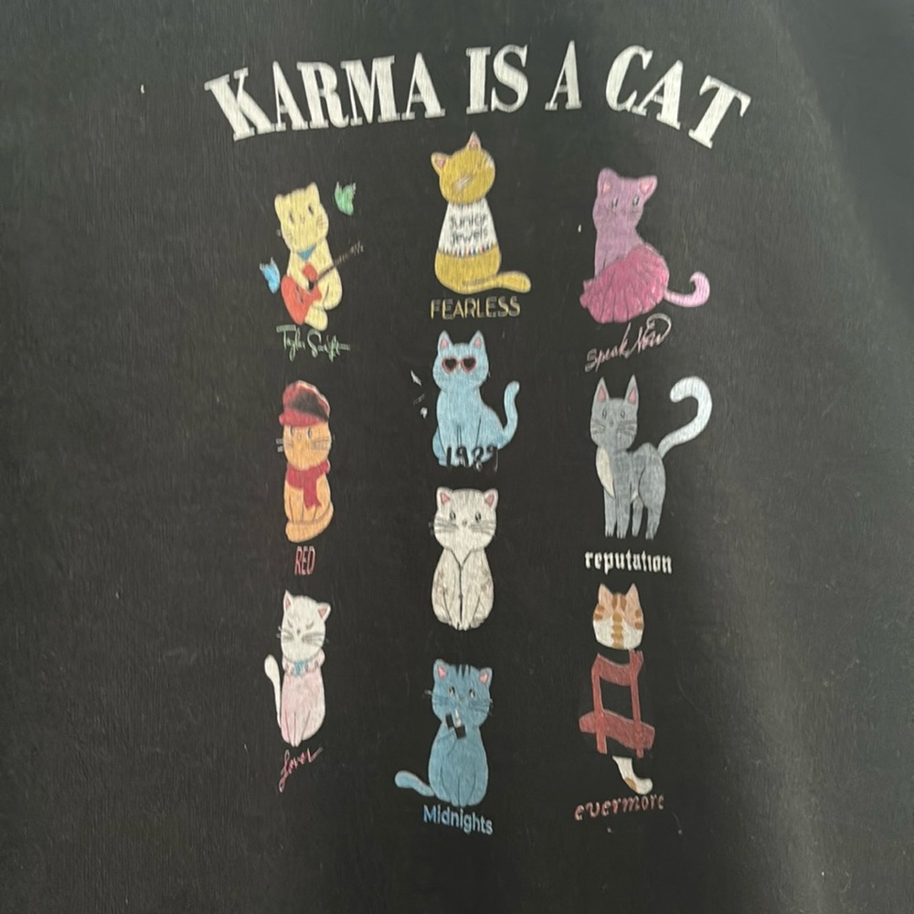Taylor Swift Karma is a Cat sweatshirt, Youth XL, black